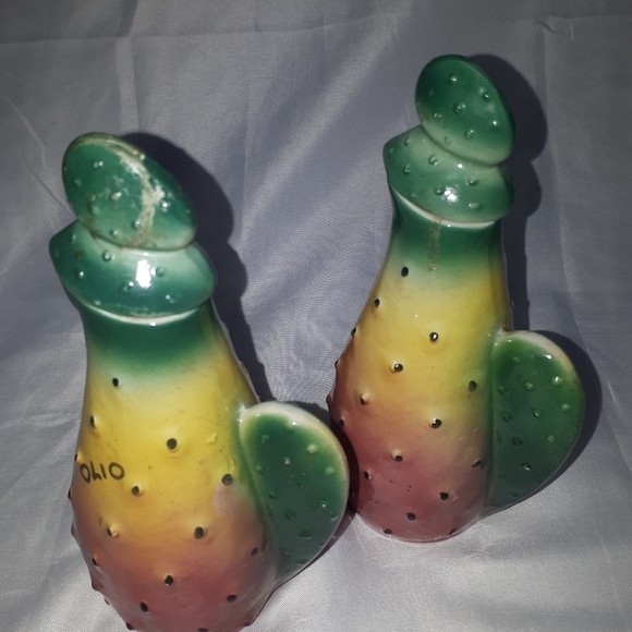 D83:  CACTUS OLIO AND ACETO - Picture 2 of 6